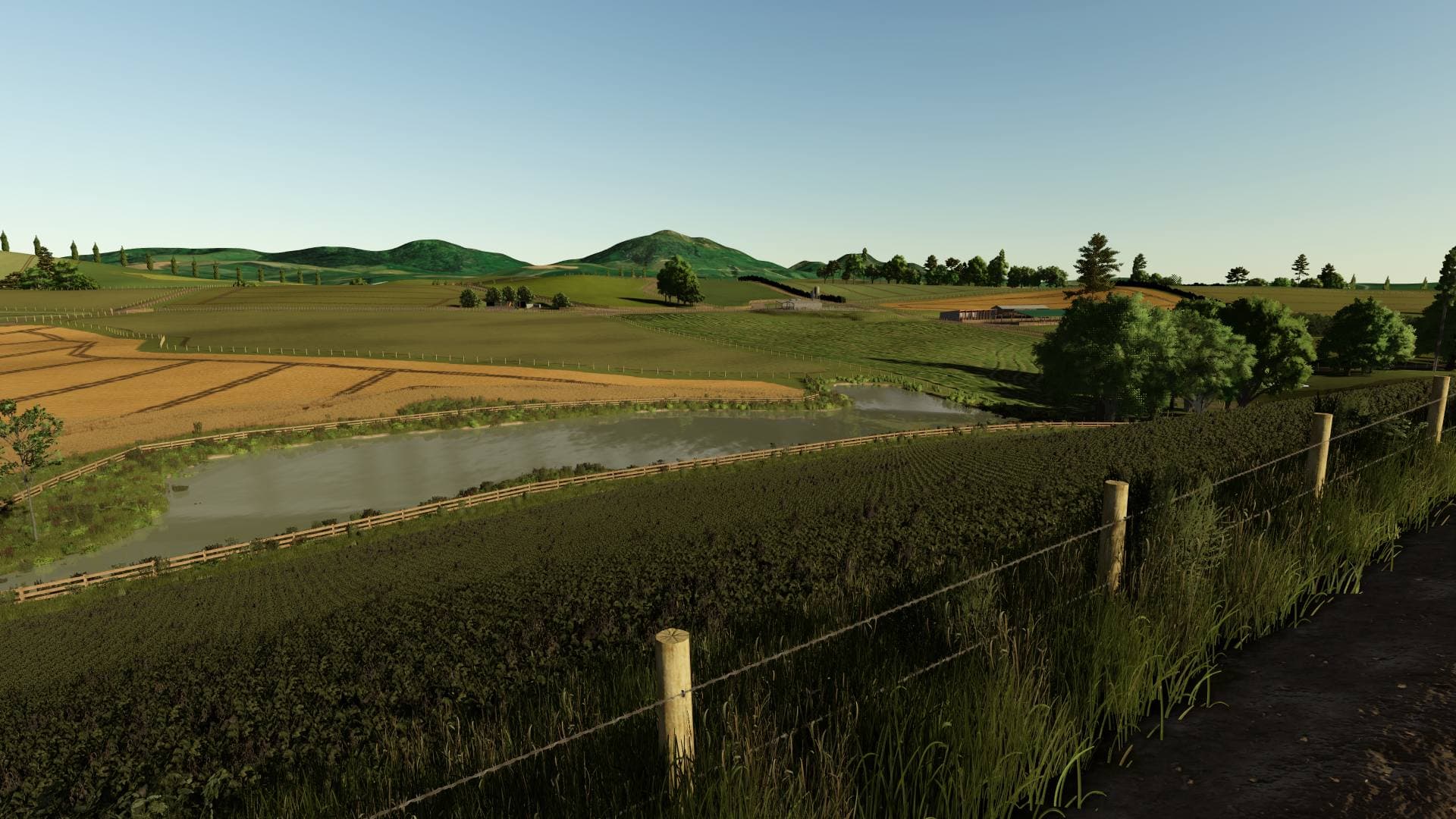 Tararua Pastures 4