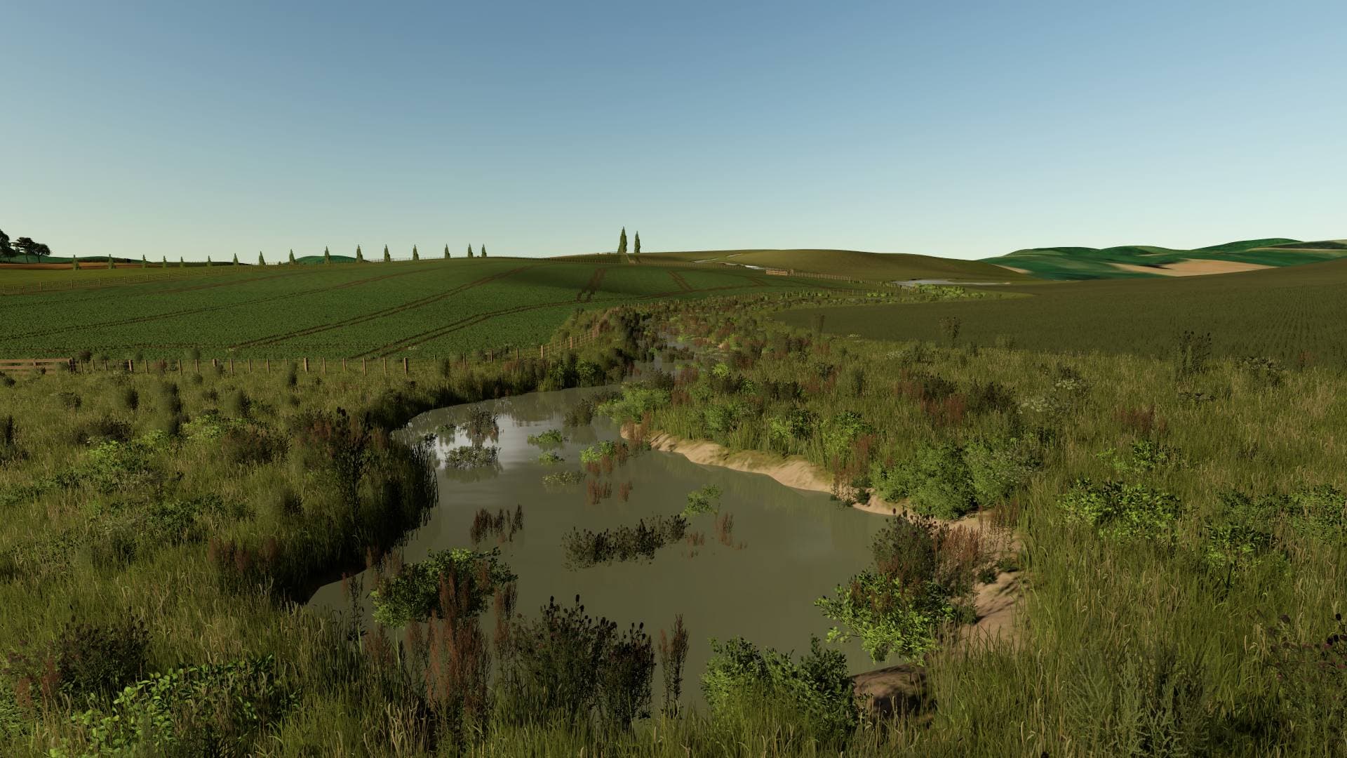 Tararua Pastures 3
