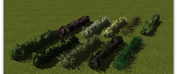 10 Hedges