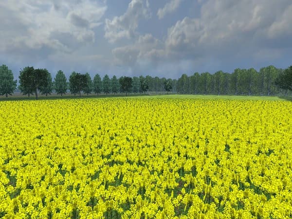 Noord Brabant 3