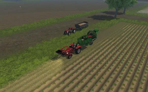 ANNA Z644 [MP] 2