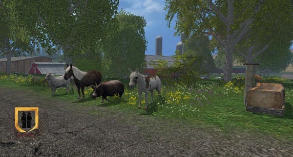 Animals 3