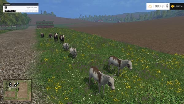 Animals 2