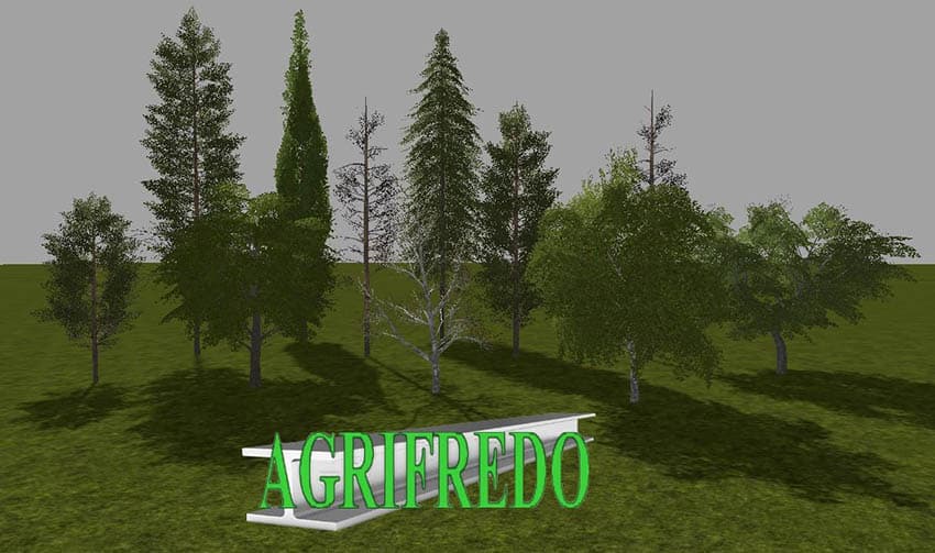 Arbres