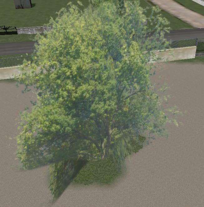 BIG TREE