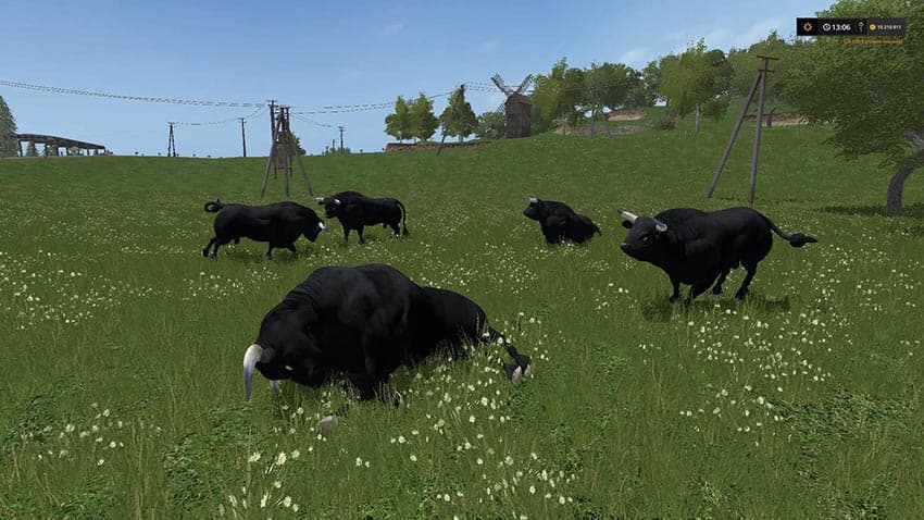 BLACK BULL