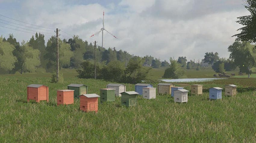 Beehive 3