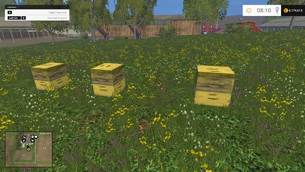Beehive 2