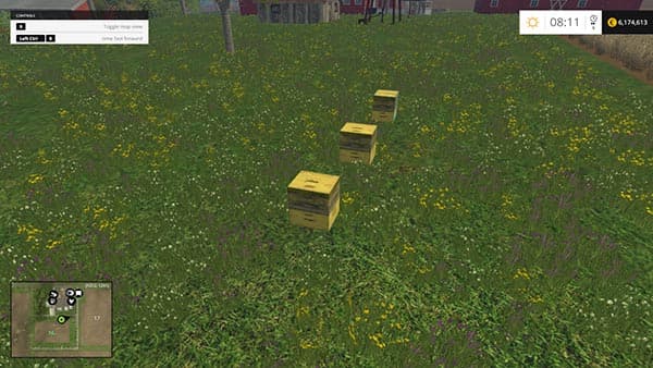 Beehive