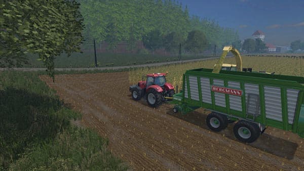 Bergmann Carex 38S [MP] 2