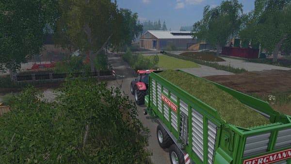 Bergmann Carex 38S [MP]