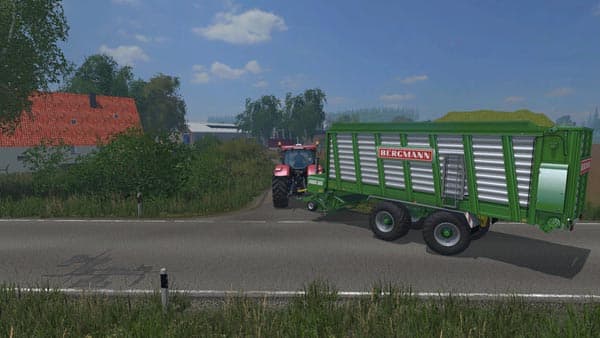 Bergmann Carex 38S [MP] 3
