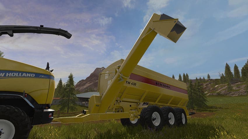 Bergmann GTW430 + Mod for more Filltypes and Colorpick [MP] 2