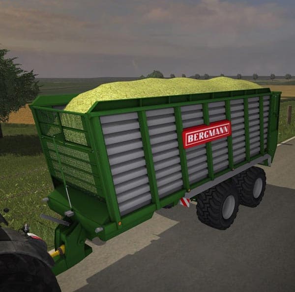 Bergmann HTW 45 [MP] 3
