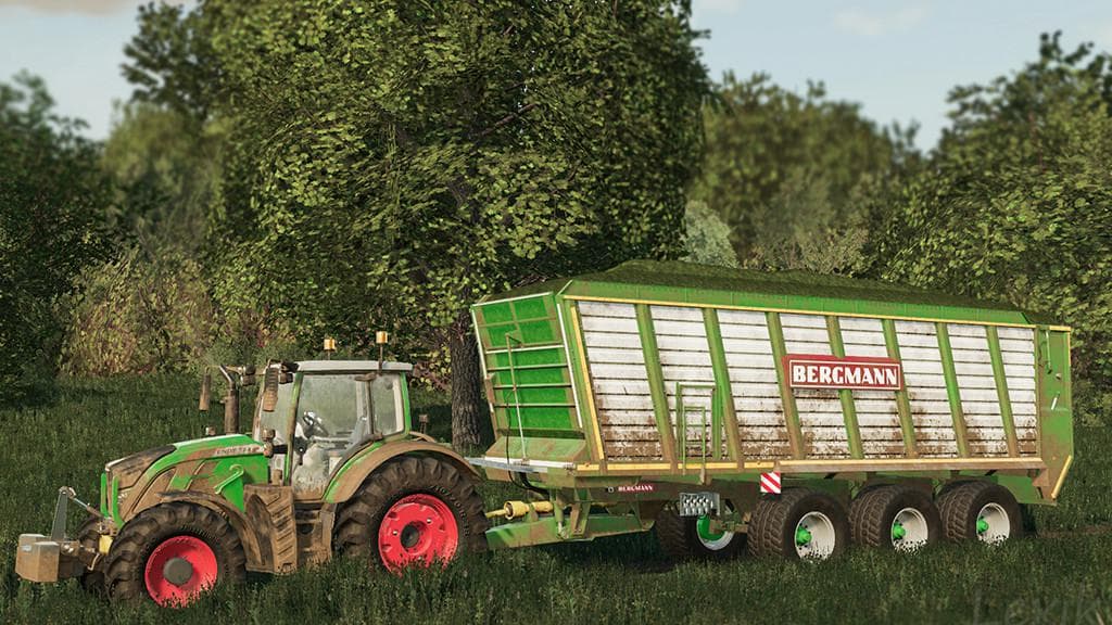 Bergmann HTW 65