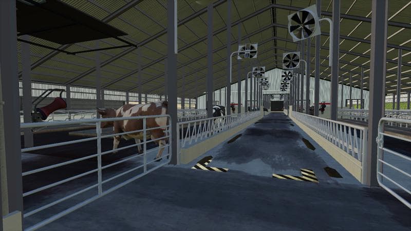 Big Cow husbandry
