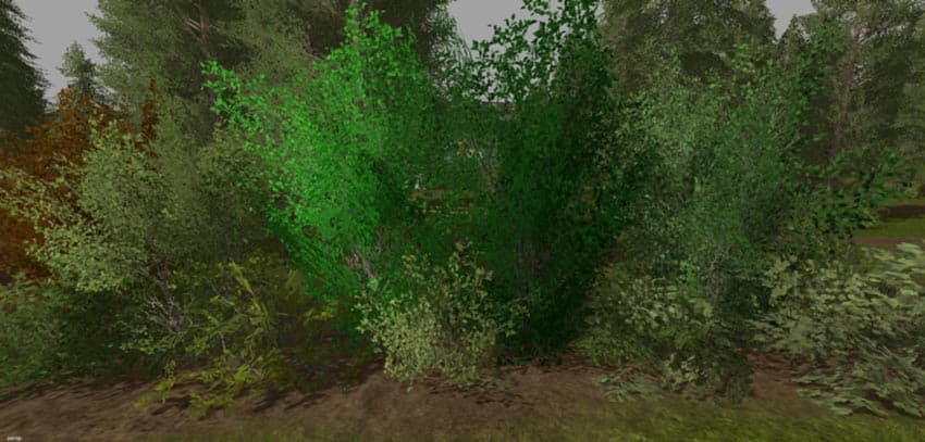 Big bushes and hedges [SP]