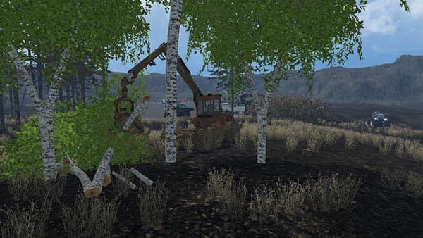 Birch cases without Harvester [MP] 3
