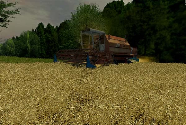 Bizon Gigant Stary z083
