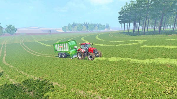 Bobstadt [MP] 5