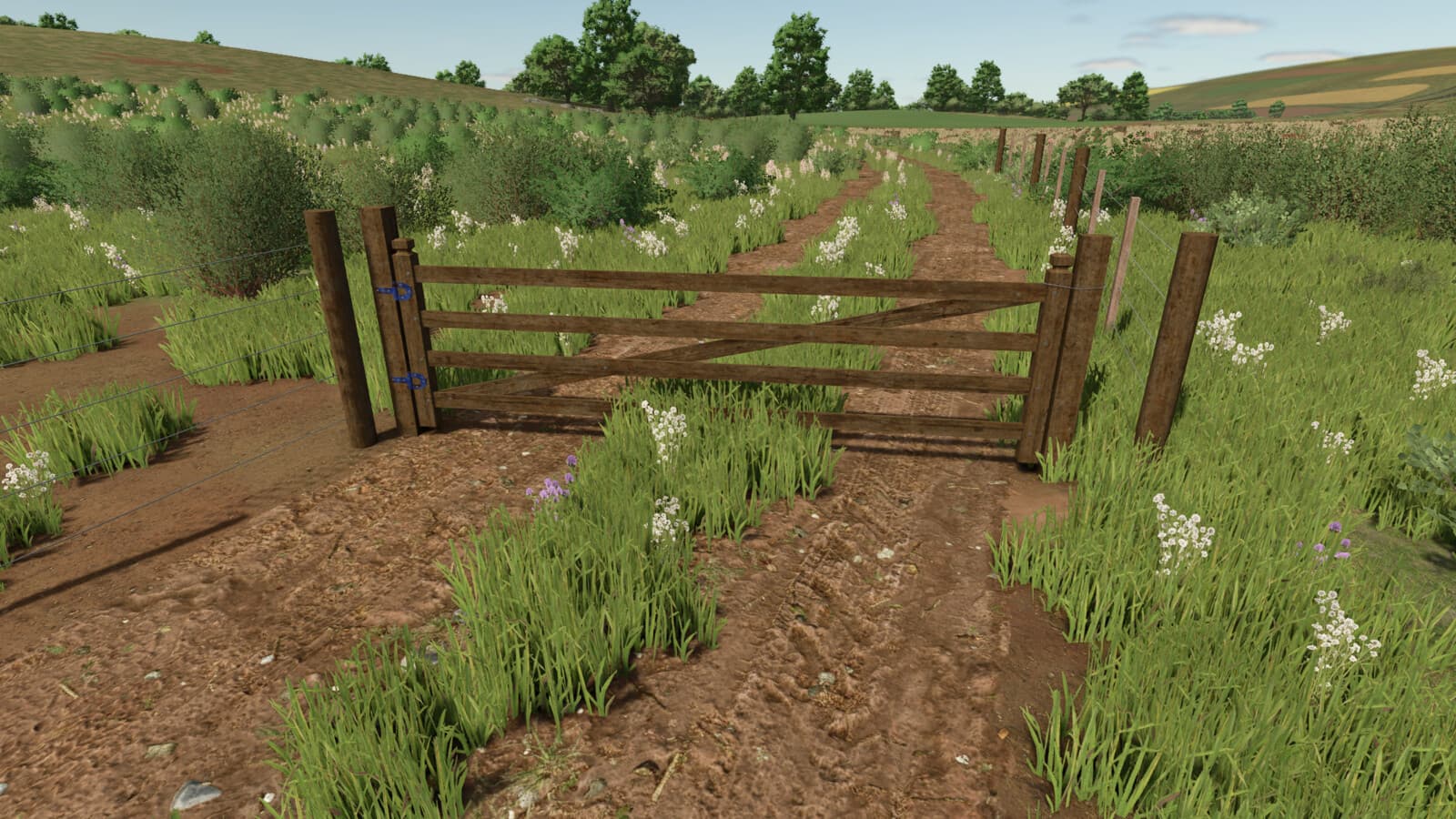 Brazilian Fences 3