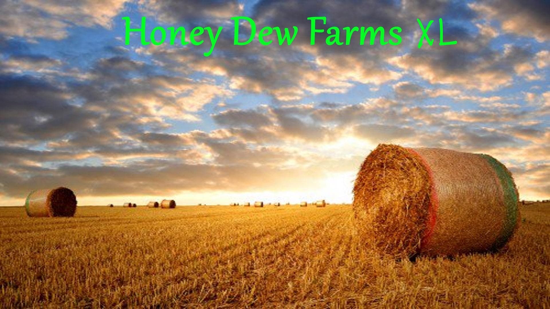 Brighten Honey Dew Farms XL