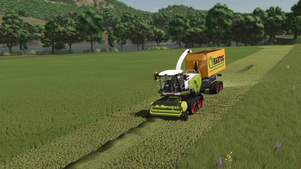 CLAAS Jaguar 960 TT 4