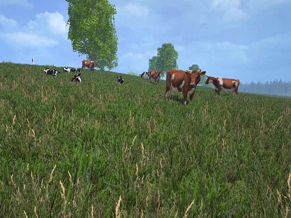 COW [MP] 2