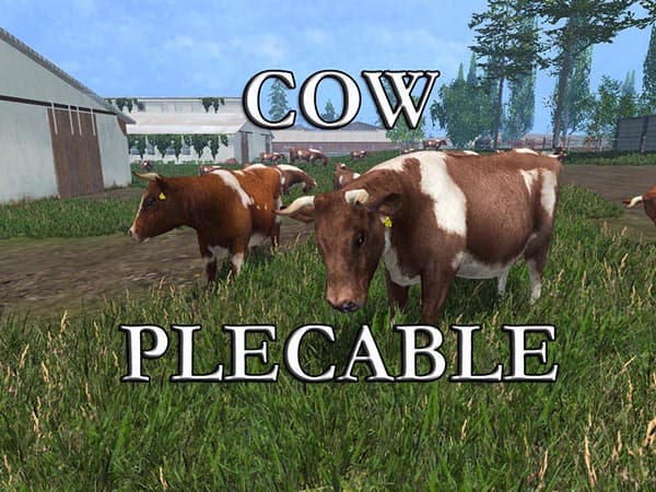 COW [MP]