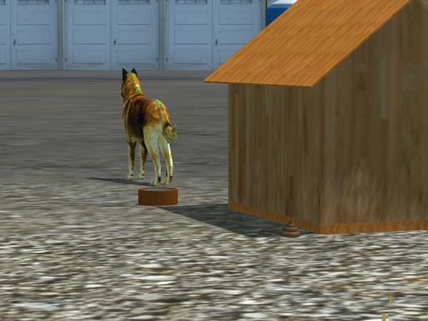 Cane [SP] 3