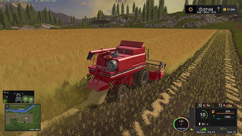 Canola Straw 2