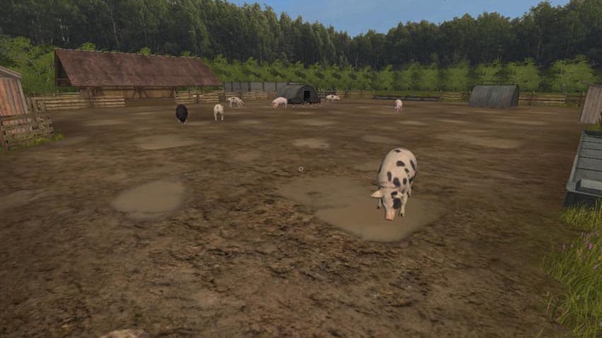 Carnousie FARM [MP] 4