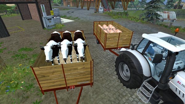 Cattle trucks VT6 [MP] 2