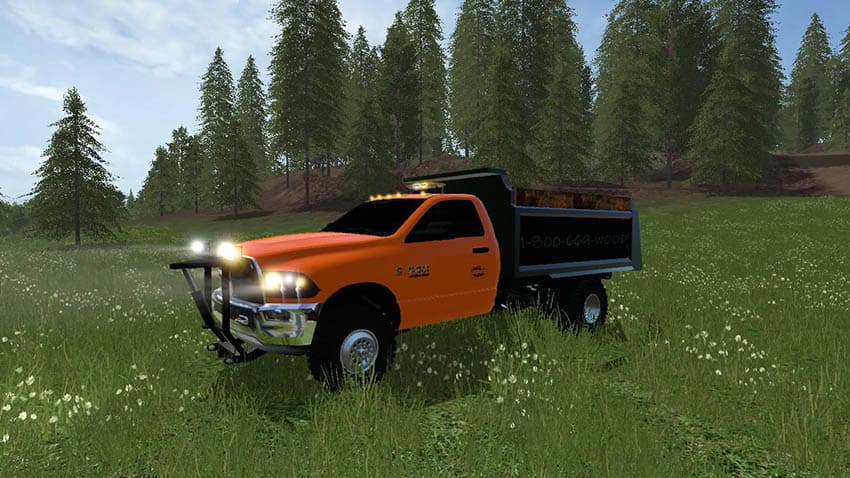 Cc 3rd GEn Dump