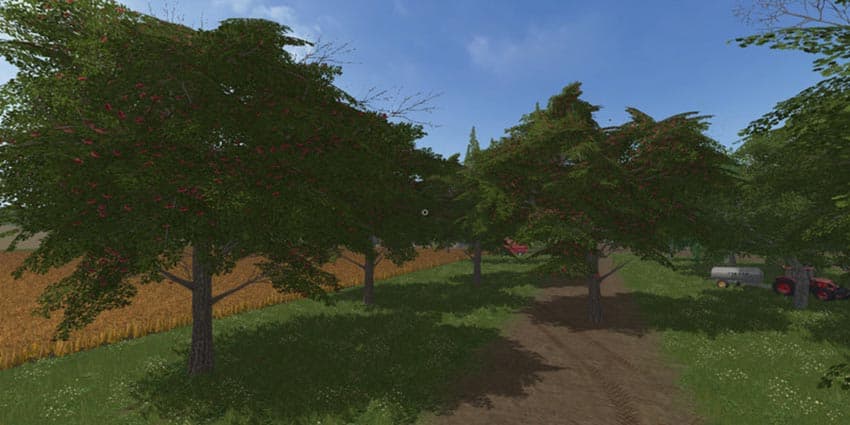 Cheeries Placeable Tree [MP] 3