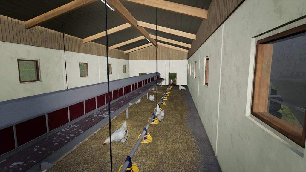 Chicken Stable