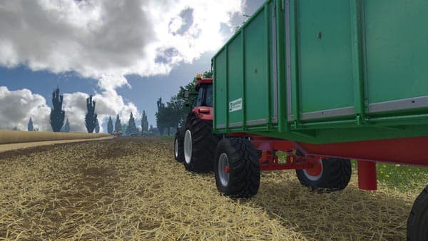 Chopped Straw [MP]