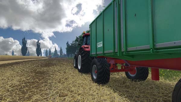 Chopped Straw [MP]