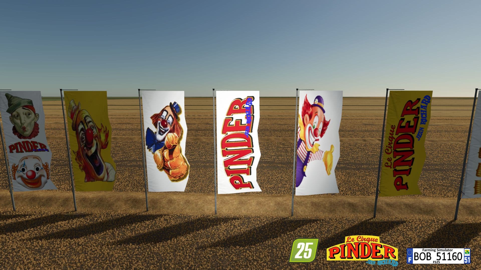 Circus Flags PINDER 6