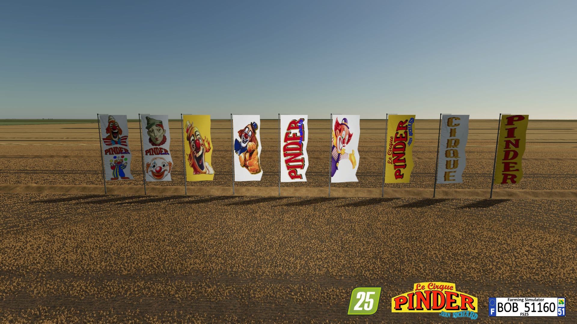 Circus Flags PINDER 5