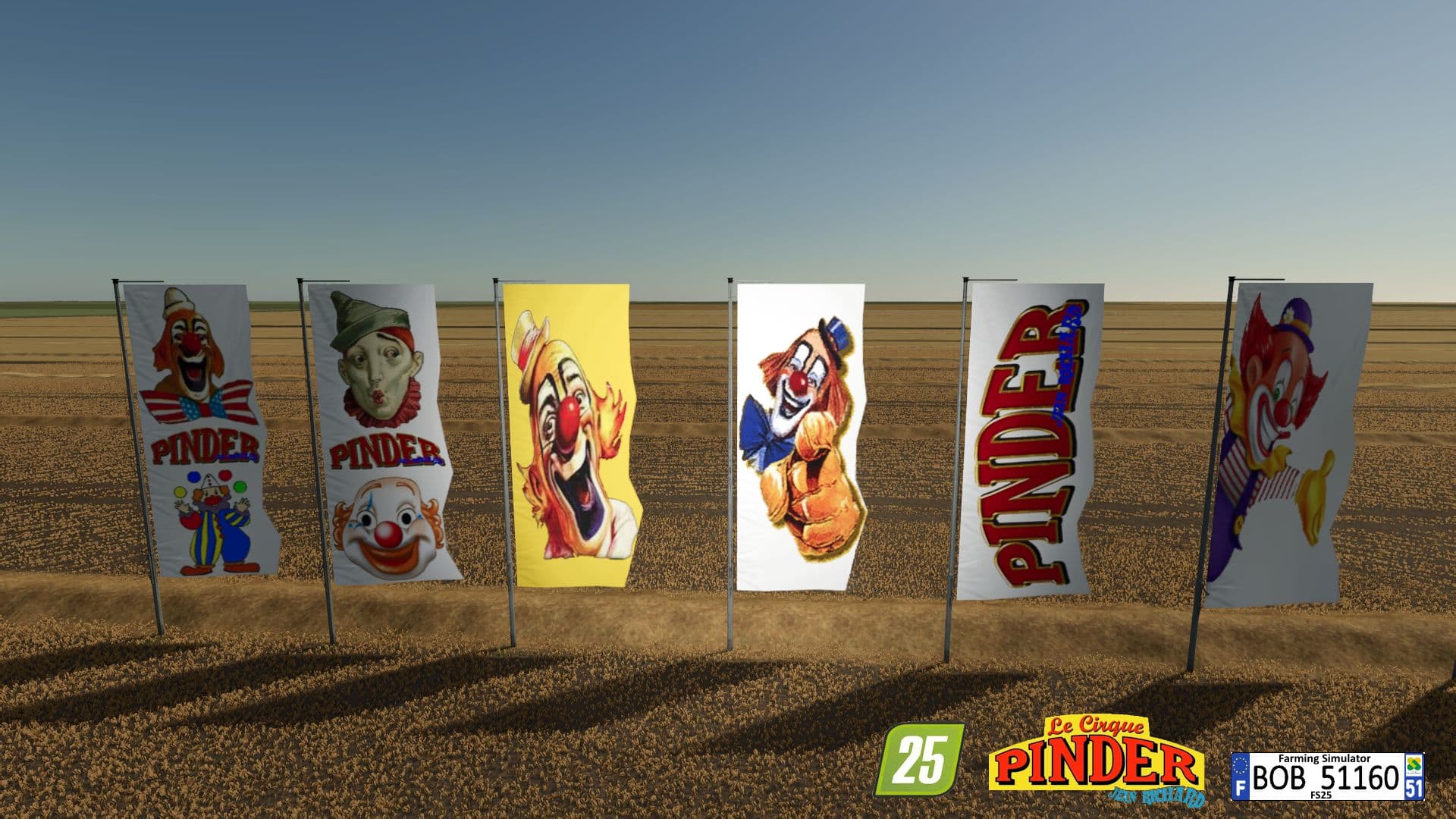 Circus Flags PINDER 4
