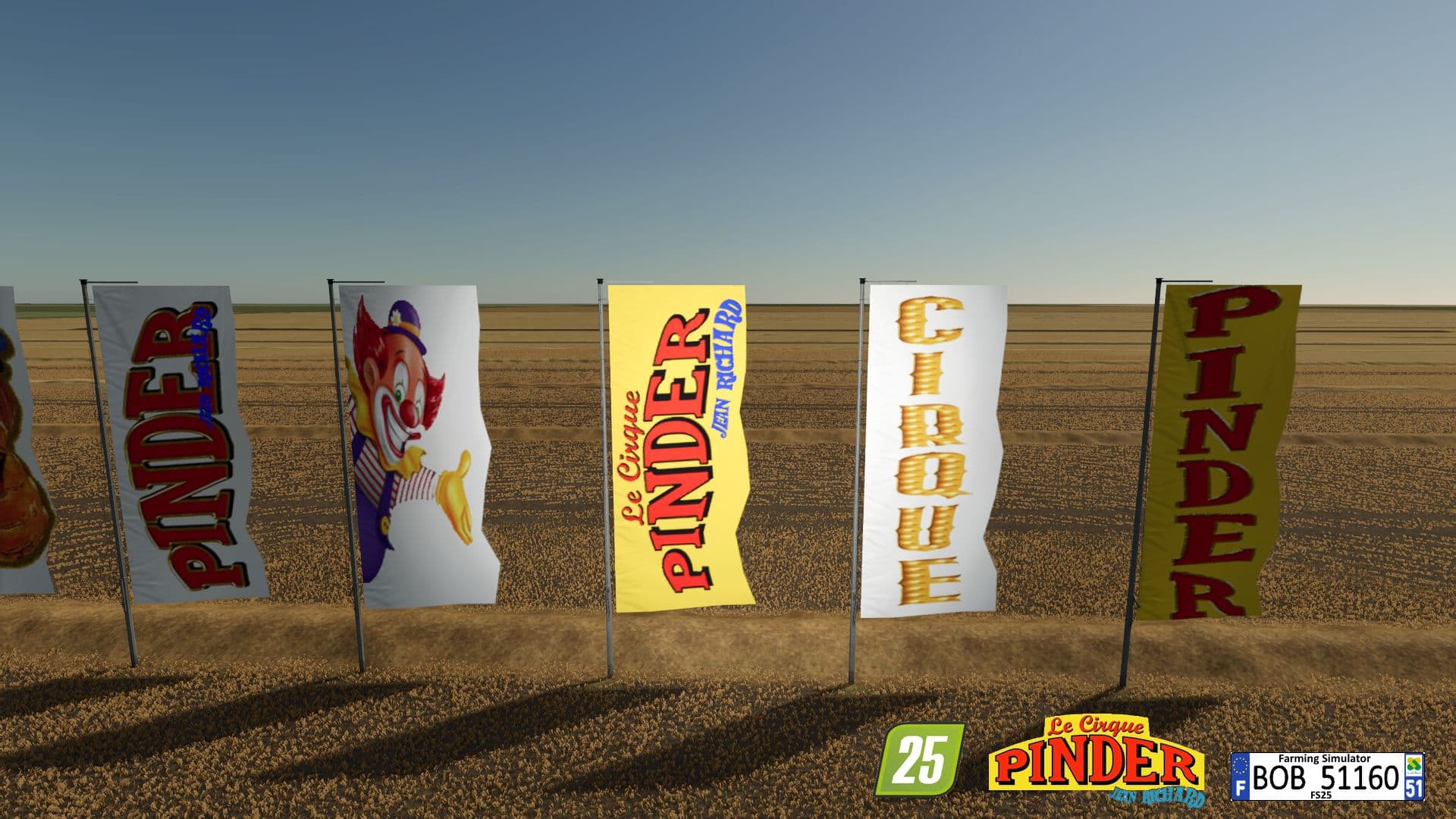 Circus Flags PINDER 3