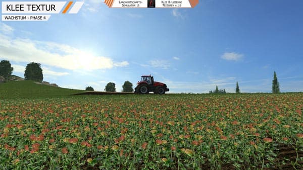 Clover alfalfa [SP] 2