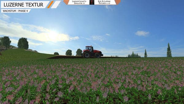Clover alfalfa [SP]