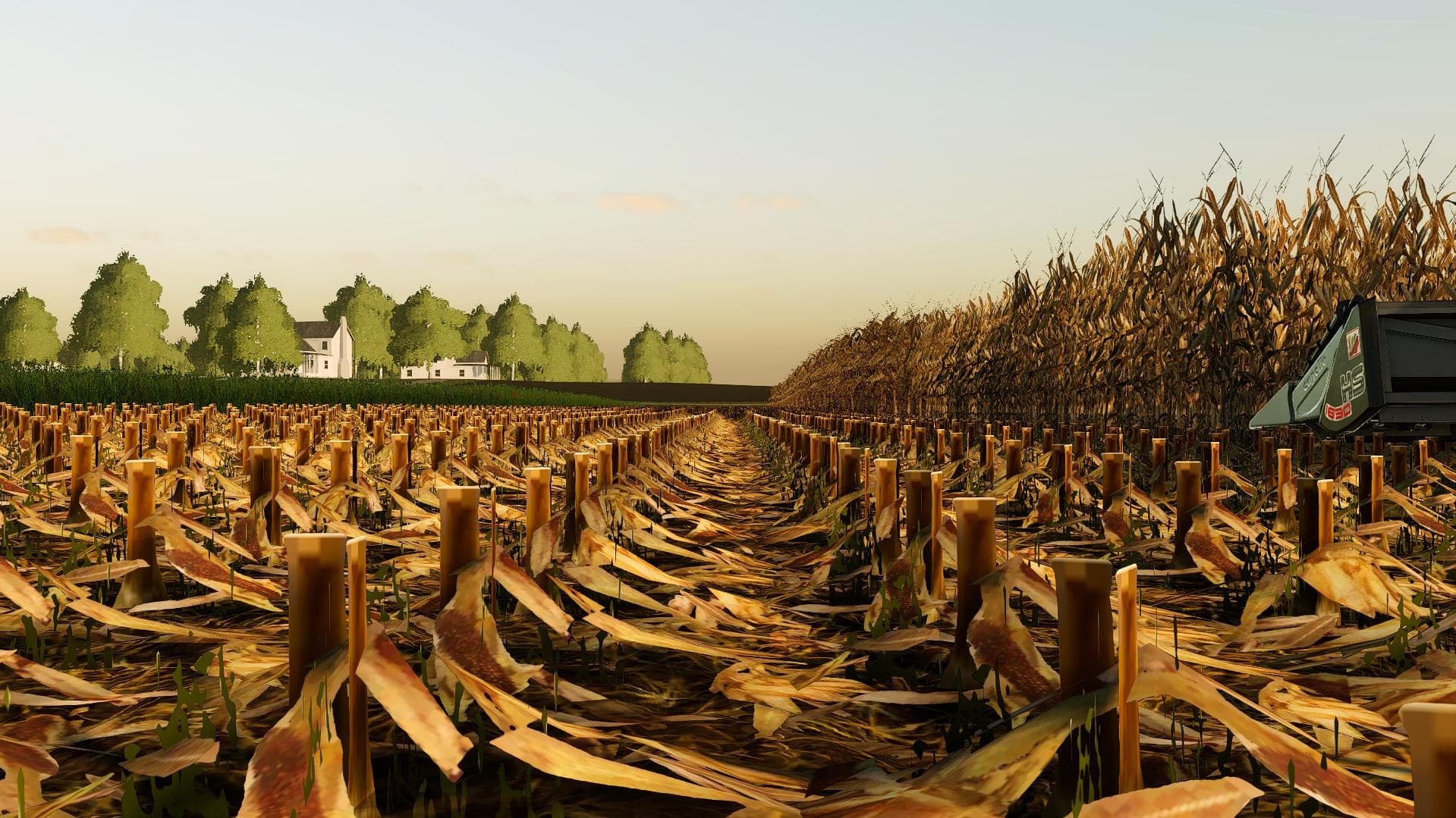 Corn and Soybean textures 2