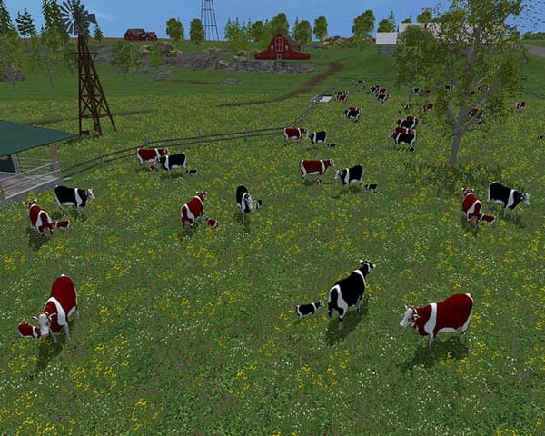 Cow family with Sound [MP] 2