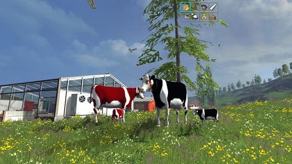 Cow family with Sound [MP]