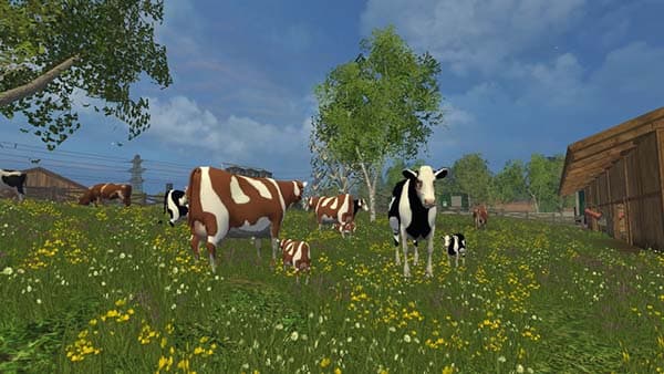 Cow family with Sound [MP] 3