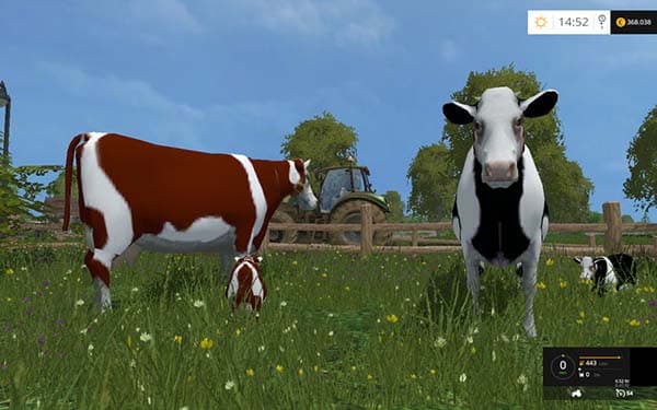 Cow family with Sound [MP]