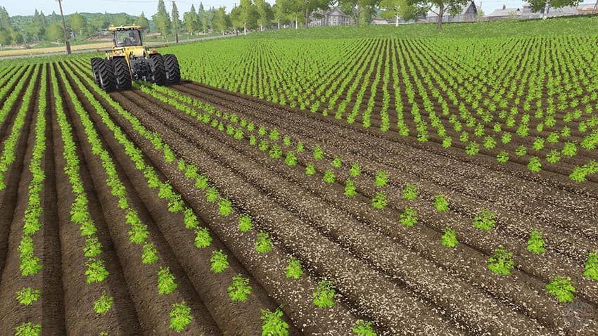 Crop destruction 2